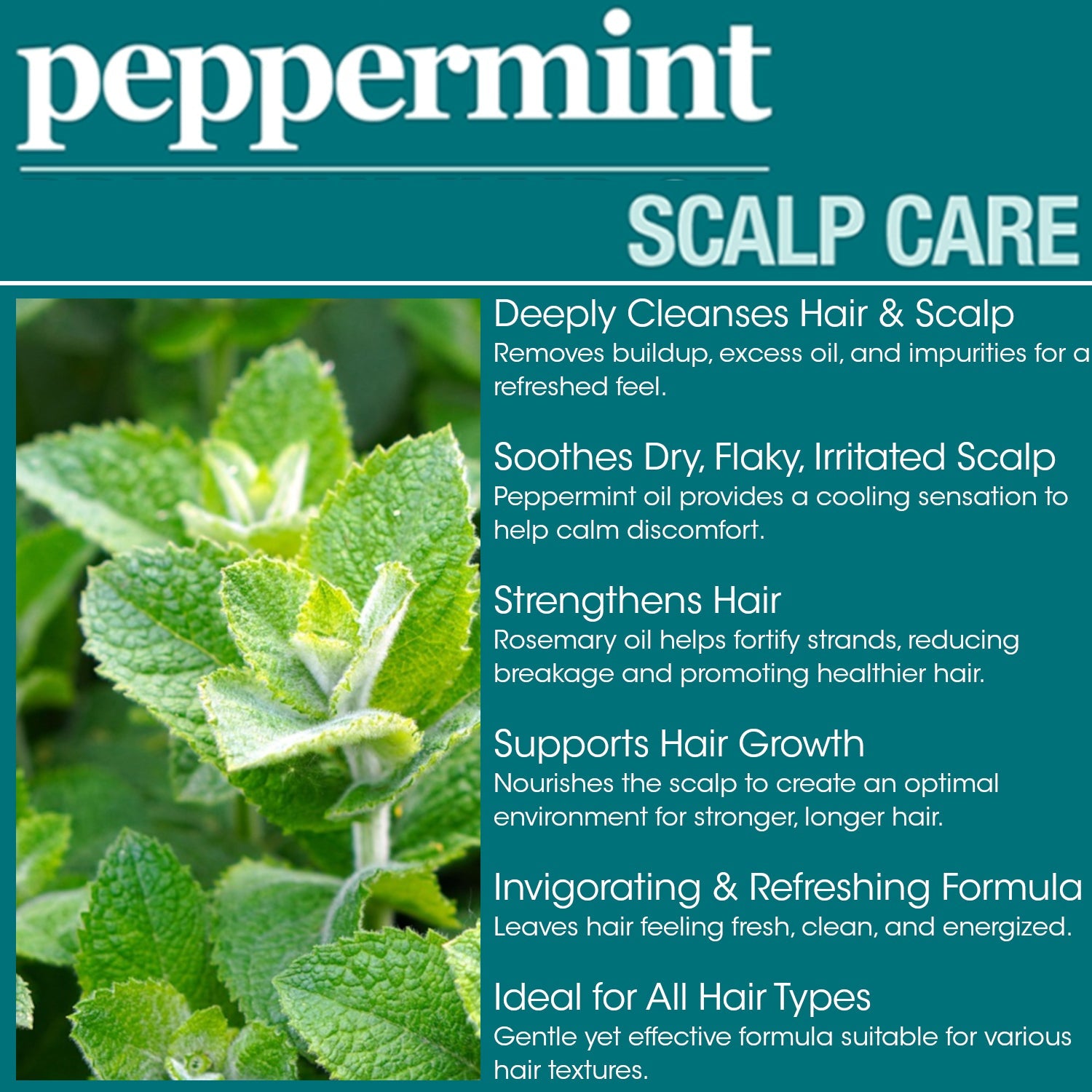 Difeel Peppermint Scalp Care Shampoo (12oz)